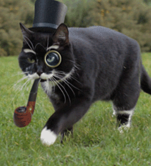 Как накрутить комментарии в ВК