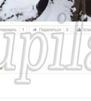 Как удалить комментарий к фото в Одноклассниках