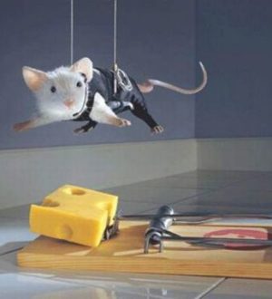 Как я бесплатно получал голоса Вконтакте и вот на что я их потратил