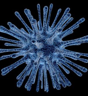 Согласились бы вы заразиться коронавирусом за 315000 руб?