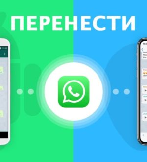 Как перенести чаты WhatsApp с Android на iPhone