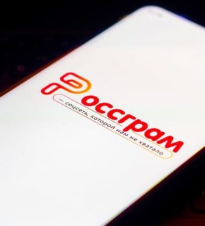 Rossgram: будущее российских соцсетей