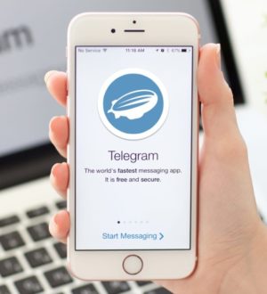 Как сохранить переписку в Telegram на ПК или смартфоне?