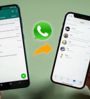 Как перенести информацию WhatsApp с Android на iPhone?