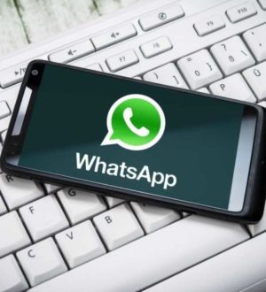 Как использовать один профиль WhatsApp на разных устройствах одновременно?