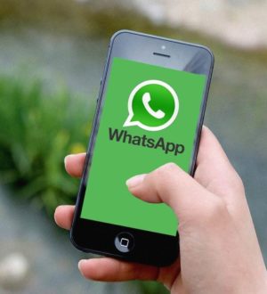 Как сделать голосование в WhatsApp?