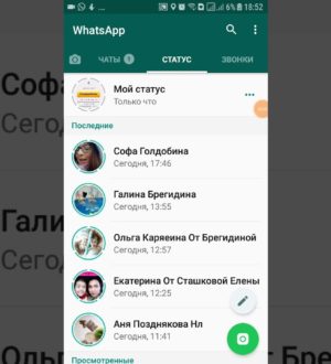 Как пользоваться статусом в Whatsapp?